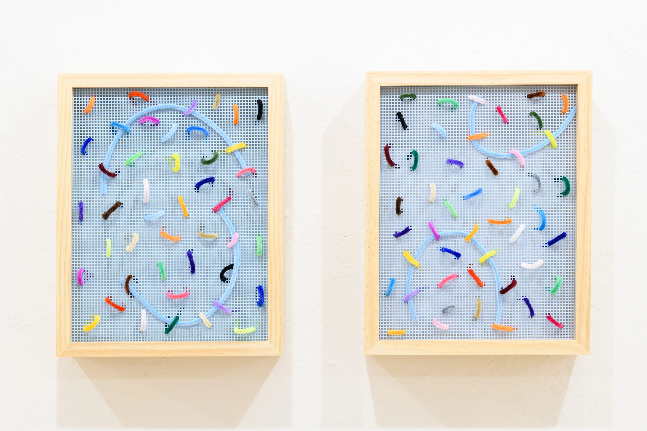 CDCP Extra Fiber - 015.jpg