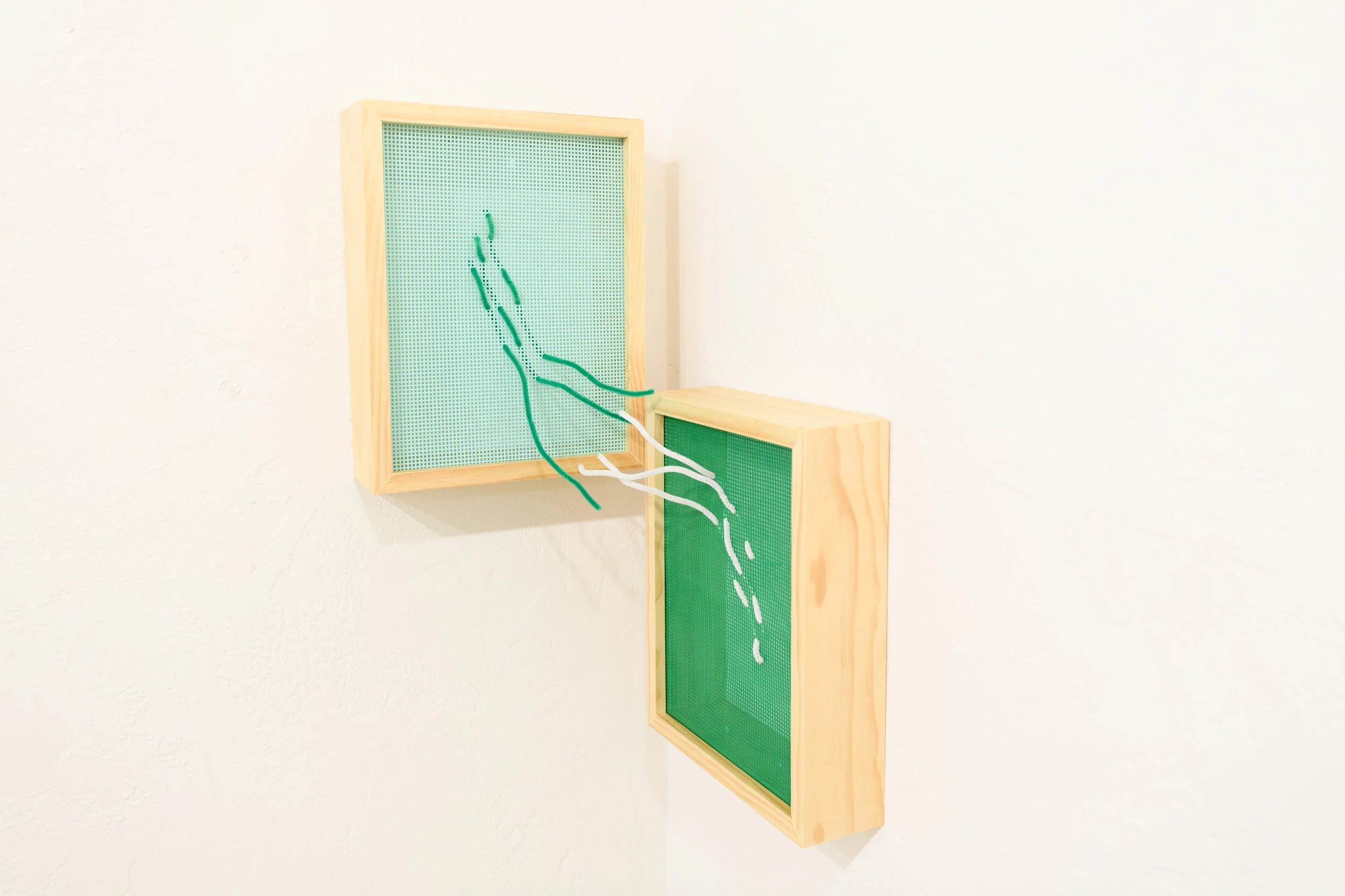 CDCP Extra Fiber - 011.jpg