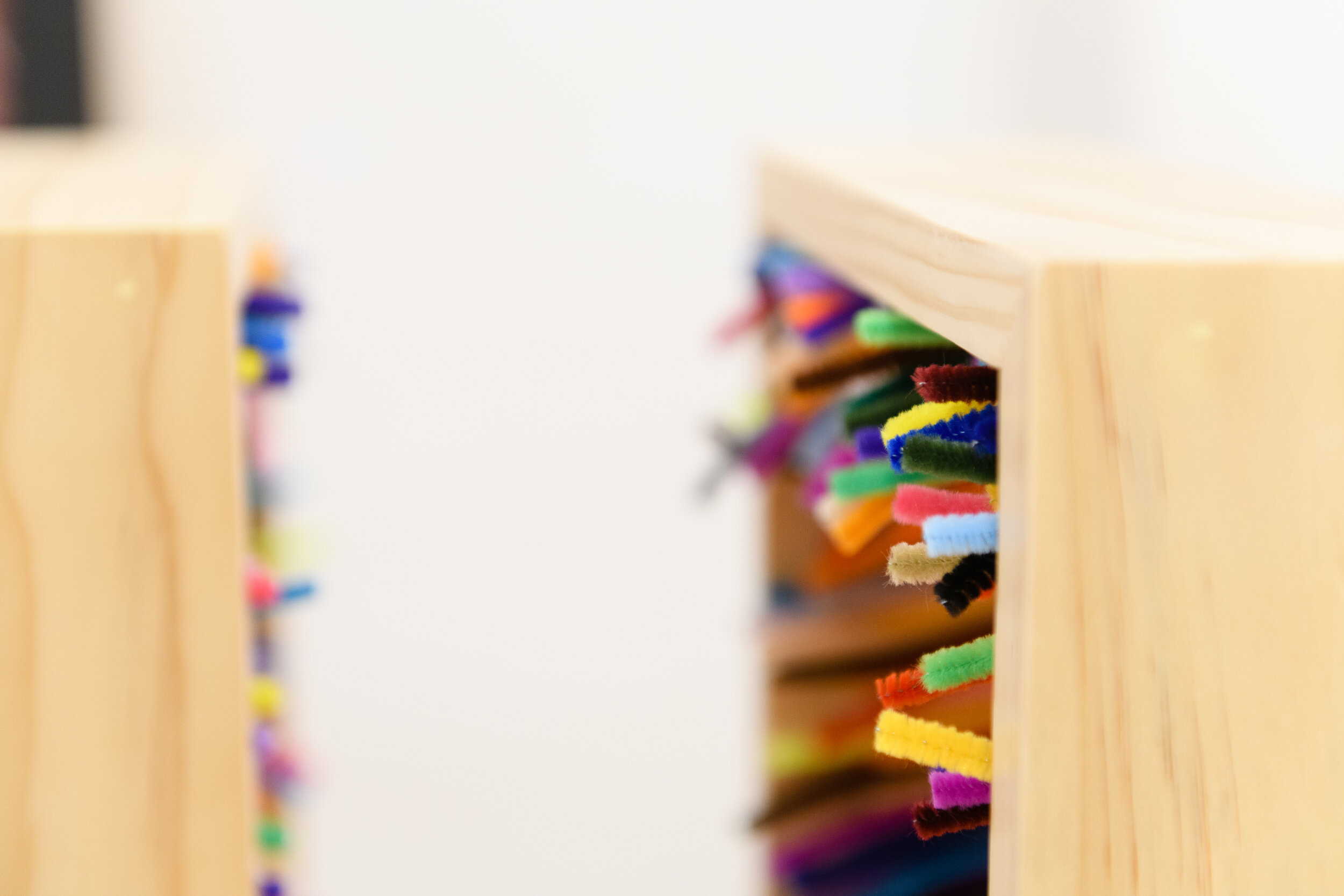 CDCP Extra Fiber - 013.jpg