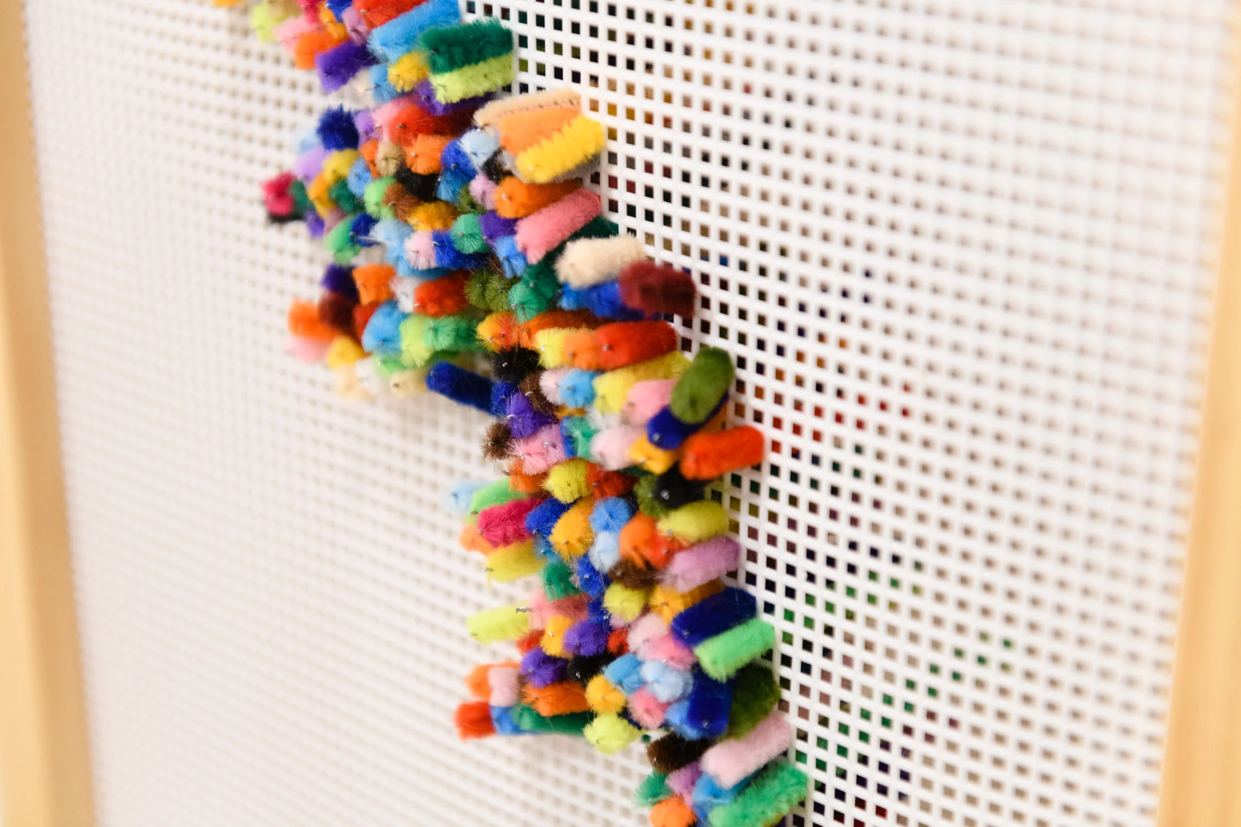 CDCP Extra Fiber - 012.jpg