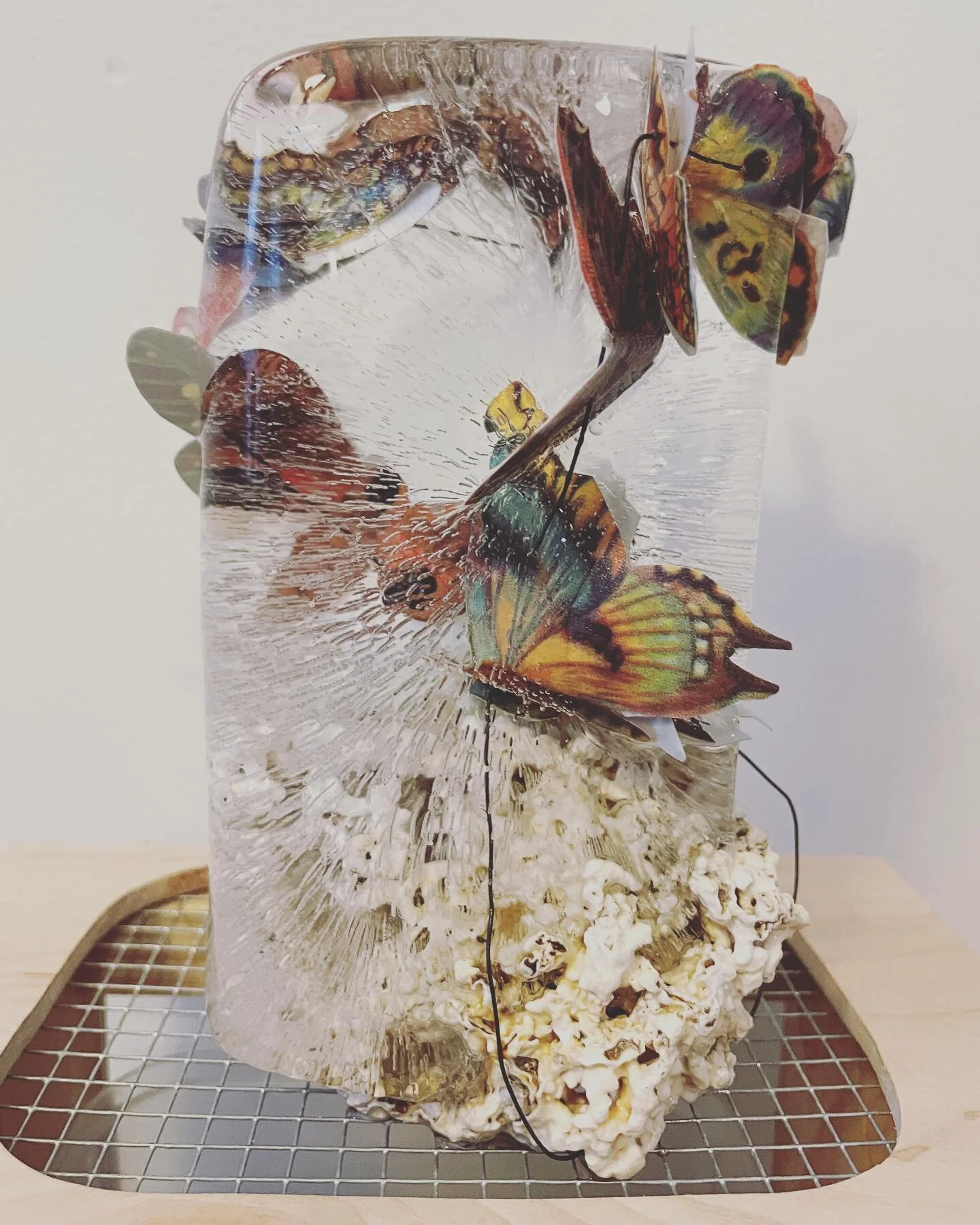 test images for the tiny pedestal piece @dreamclinicprojectspace π¦
this too shall pass, wire, paper, coral, water/ice, wire mesh, plastic, and wood, dimensions vary, wood base 17”x7.75”x4.5”, 2021-present.
id: colorful illustrate