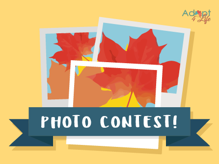 photocontest_2-06.png