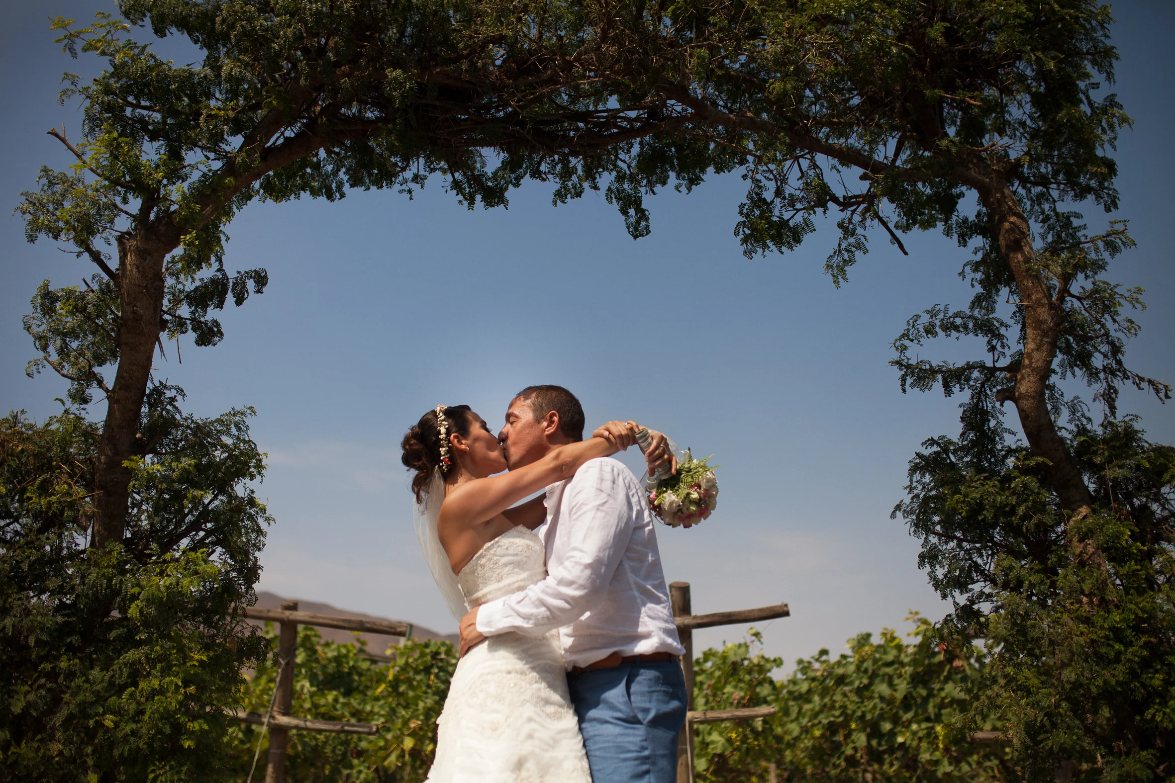Daisy & Cesar: Una Boda en el Campo