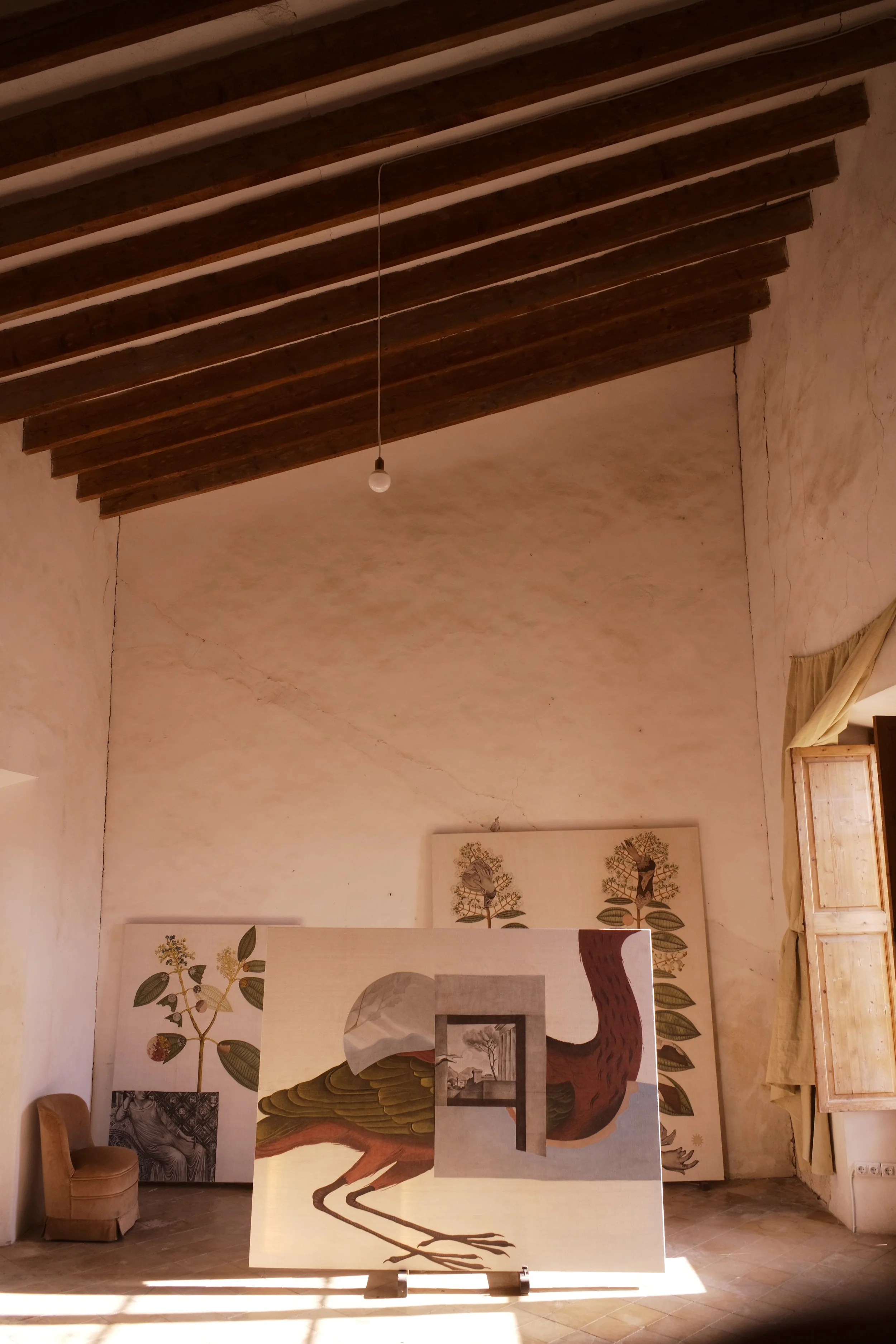 L1009898 2.jpg
