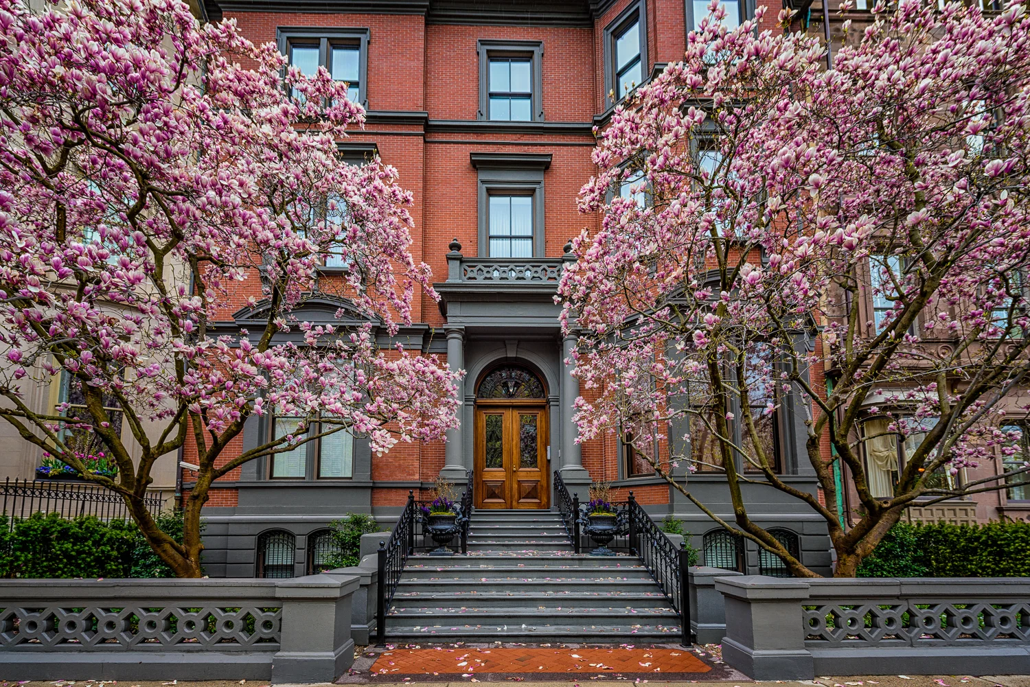 Commonwealth Ave - Boston, MA