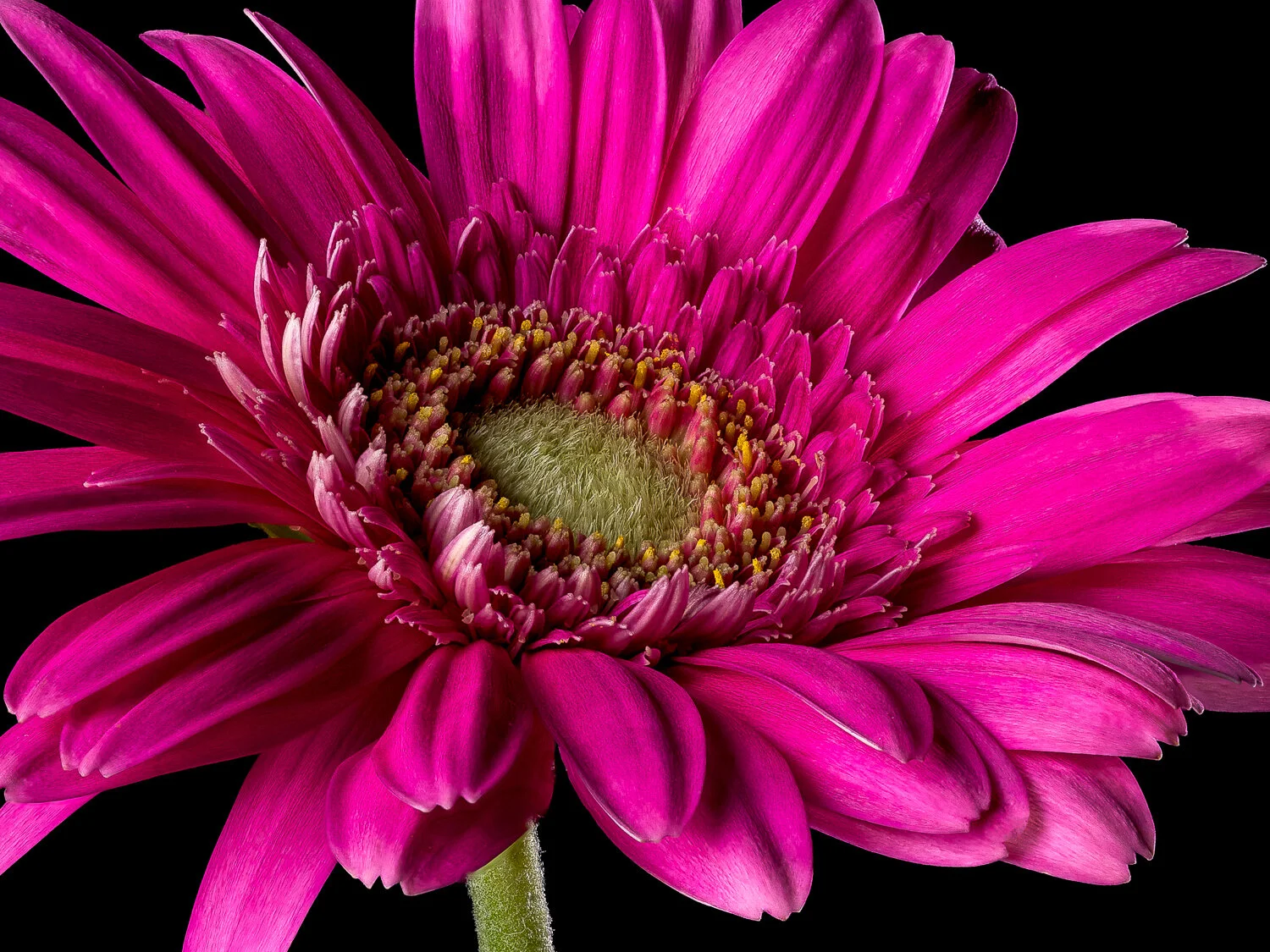 08.16.12_001_023_18x24.jpg