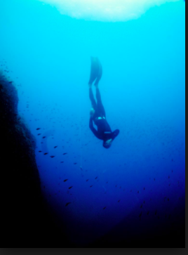 A scuba diver swimming underwater near a coral reef with a school of small fish.