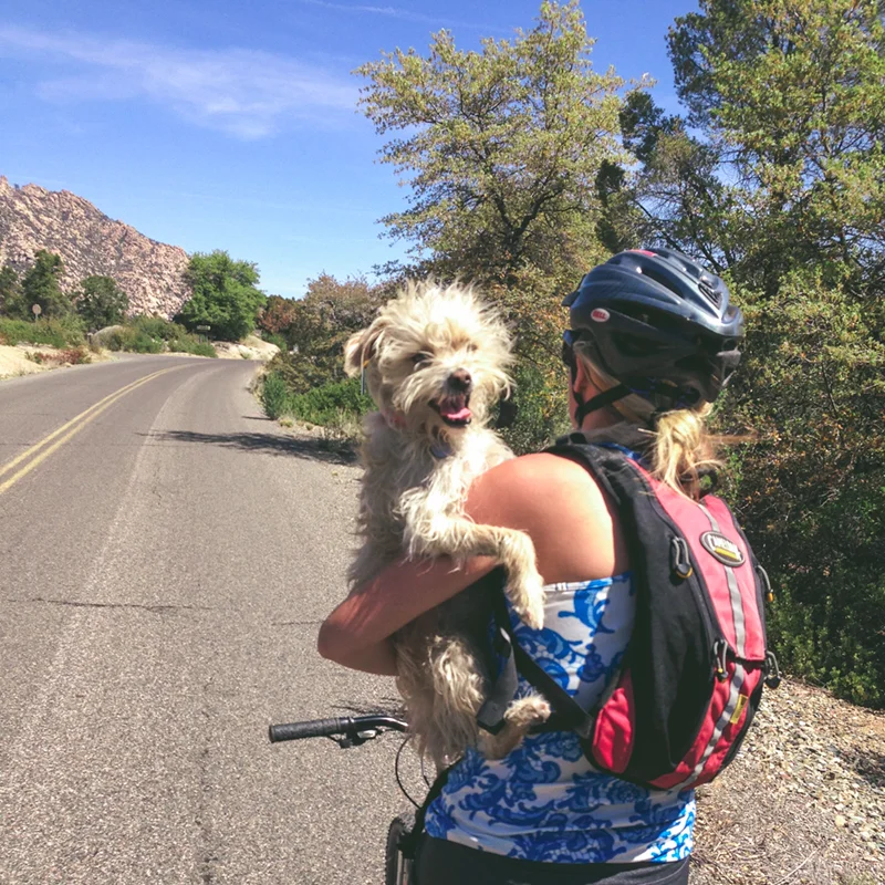 After two days of these rides, Gromit was ready to hitch a ride. That's what friends are for! 
