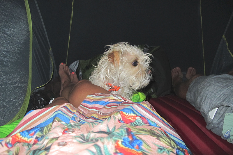 We left the rainfly off to sleep under the stars but pitched the tent to deny the aggressive swarm of summer mosquitos. 