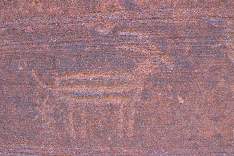 Adam and I have set out on many trails with the intension of seeing Native art and have never been able to find it. If it wasn't for a woman from Ohio who pointed it out to us on the trail, we would have missed this beautiful sight. 