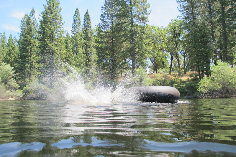 Lucky for us, we did get to help out on the farm, but the 4th of July was reserved for cooking a feast, cocktails and swimming! 