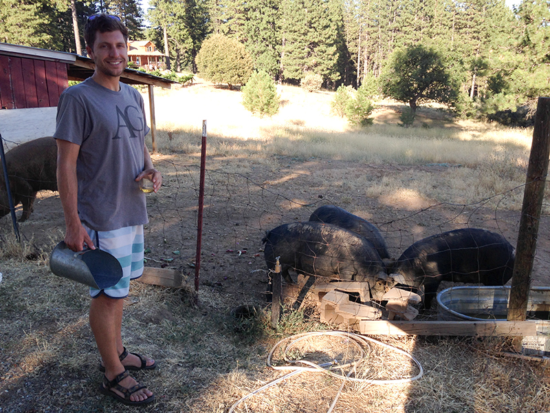 Adam fell deeper in love with growing crops and I fell deeper in love with the animals. Now our conversations are full of farm talk and when we went to San Francisco we bought a couple books to help us dive into the idea. 