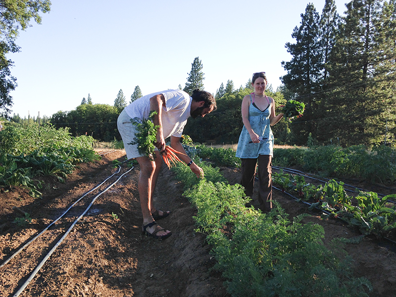 Each day we spent on the farm ended just like a dream. We picked everything we wanted to eat, cooked a delicious plate of meat, and drank the wine made from grapes of the farm. Heaven. 