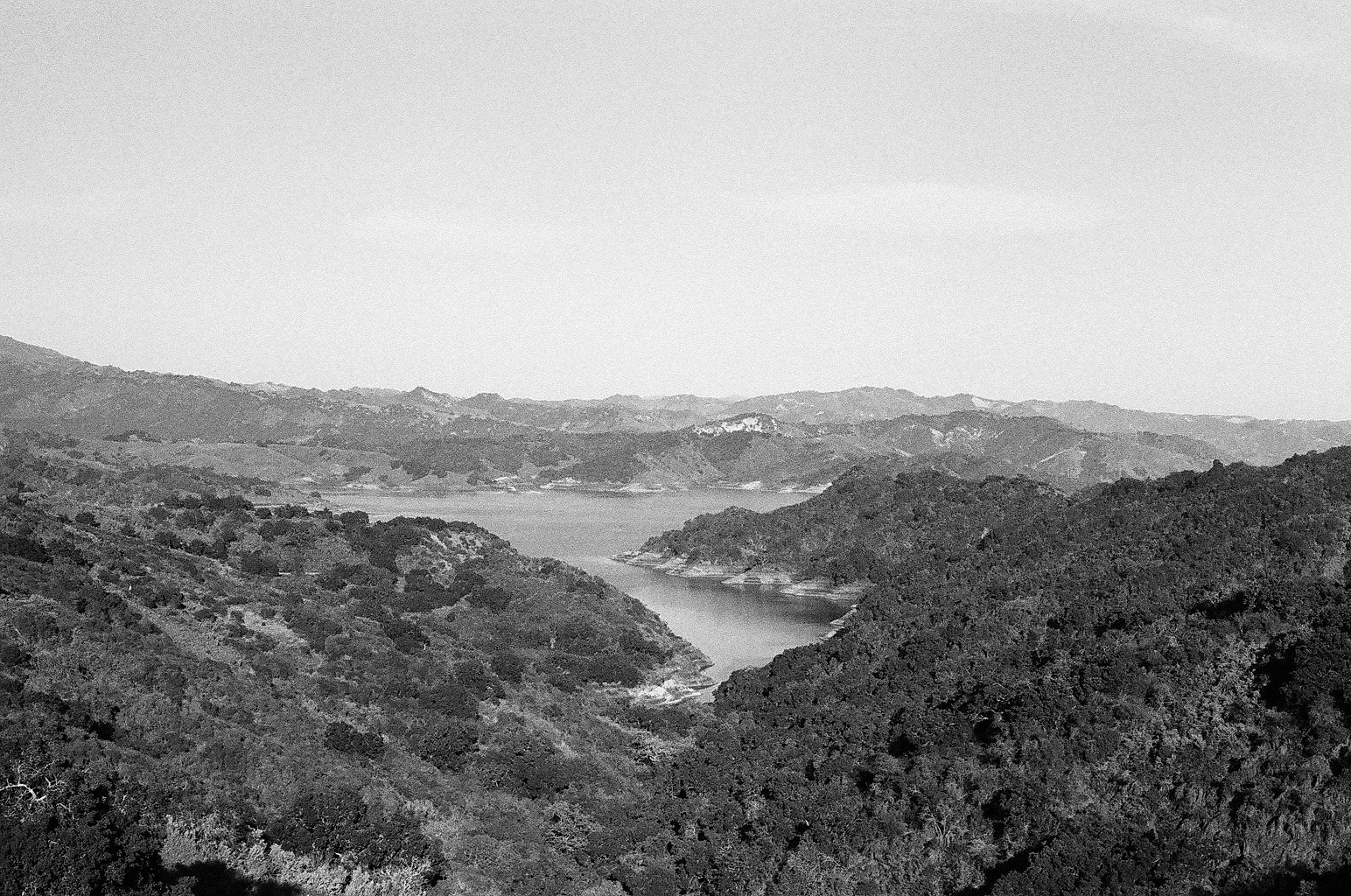 As mentioned before, we headed to Ojai for a night on our friends pistachio farm and cooked pizza on their outside stone wood fire oven (still dreaming of this meal). Isn't Lake Casitas beautiful in black and white?