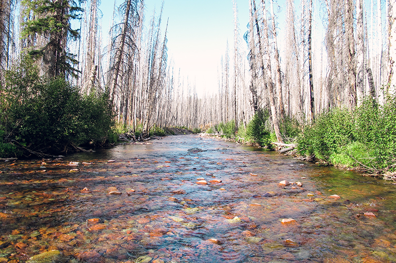 It was a 22 mile hike with three creek crossings before we got to the river we wanted to float. This is the first creek crossing around mile 12. Since we started the first day of hiking at noon, this looked like the perfect place to set up camp before the sun went down. 