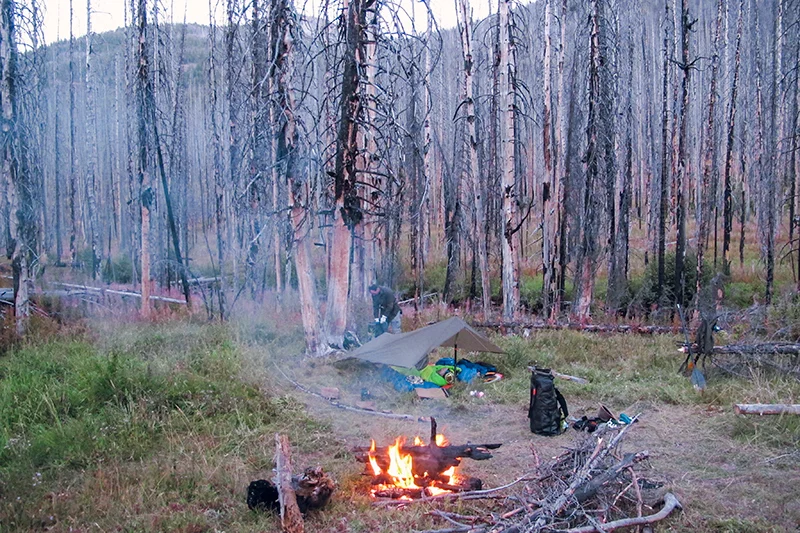 We all slept hard the first night, although it took me a while to fall asleep because of the excitement and unknown of the week ahead! (just kidding, I am passed out already under the tarp, and its not even dark yet, while my Dad and Adam are out collecting firewood.) 