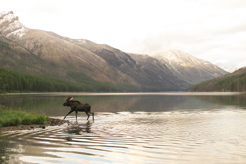 This was an absolute highlight of the trip and a favorite photograph. 