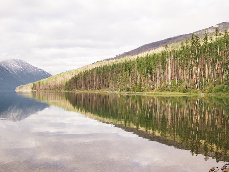 Once the excitement from the moose and the rain died down, my dad caught one measly fish and we eagerly hiked back to the river. 
