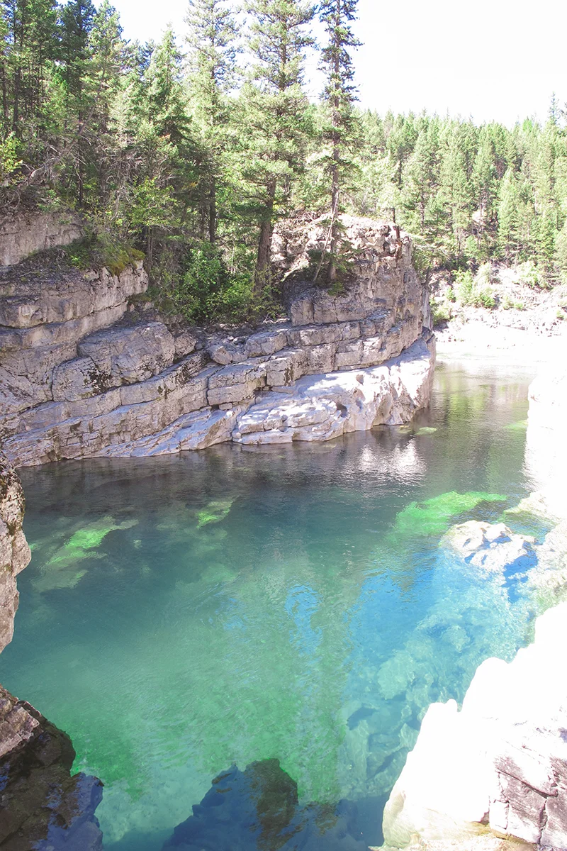 Somehow the Mediterranean waters made it down the South Fork. 