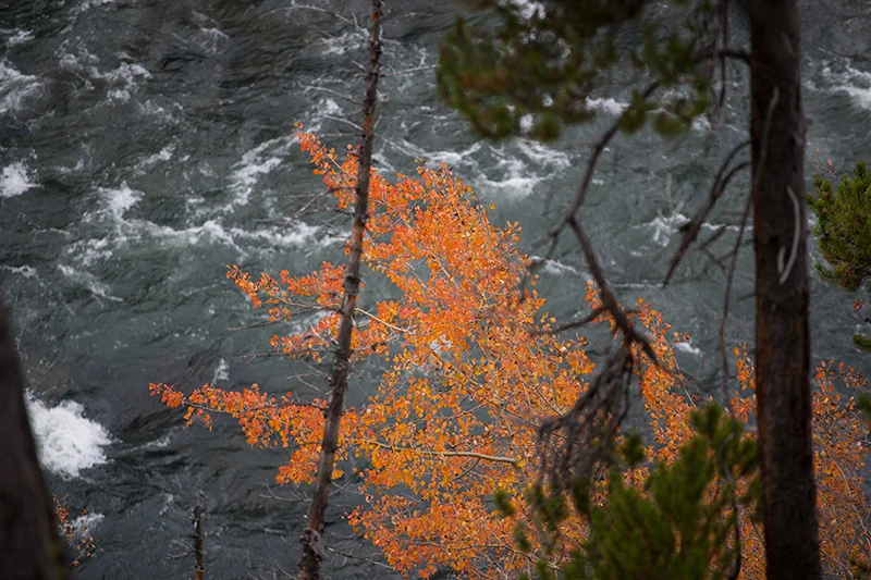 The hike to lower falls was simple, hence its popularity, and the first signs of fall color were scattered around the trail. The view at the vantage point below is mesmerizing. The power of the river made me think of a 100 foot wave breaking ten feet away. I've never been that close to that much water moving.