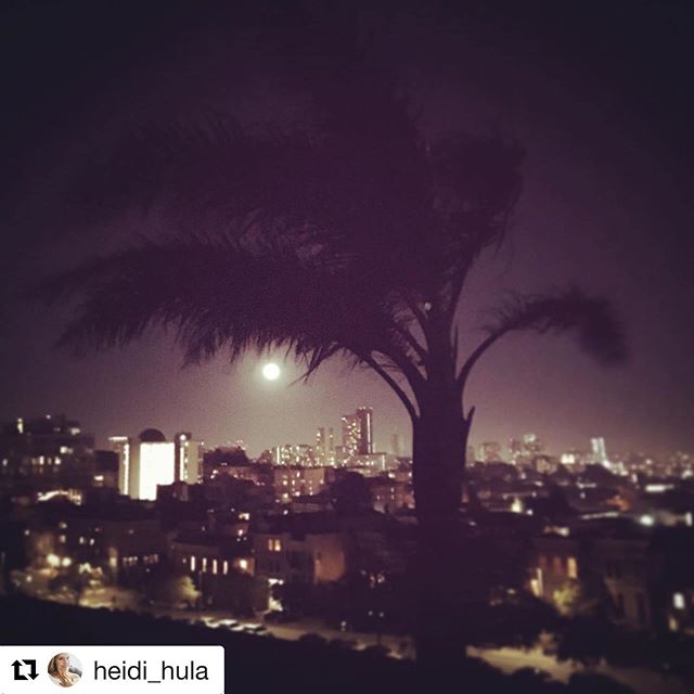 #Repost This week&rsquo;s full moon brought to you by quiet starless nights atop Alta Plaza  #fullmoon #lunar #nightsky #altaplazapark #sf #lunarenergy