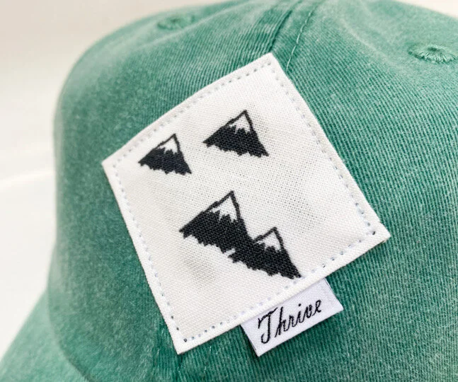 mtn views close.JPEG