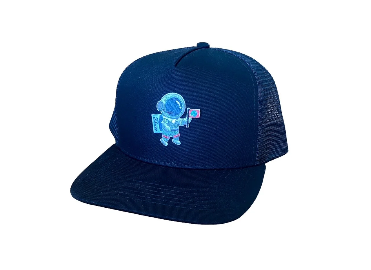 man on the moon.JPEG