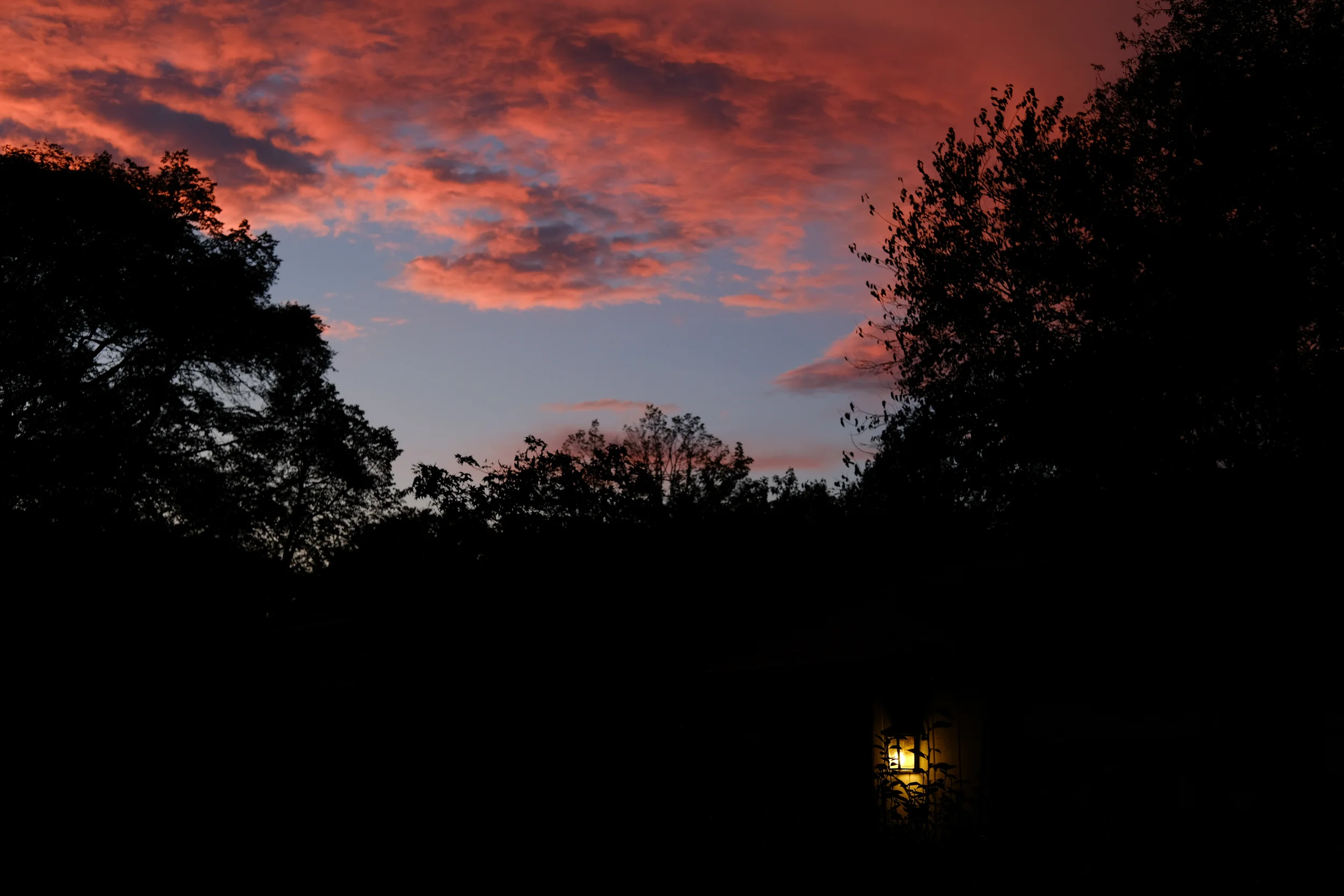 DSCF9329.jpg