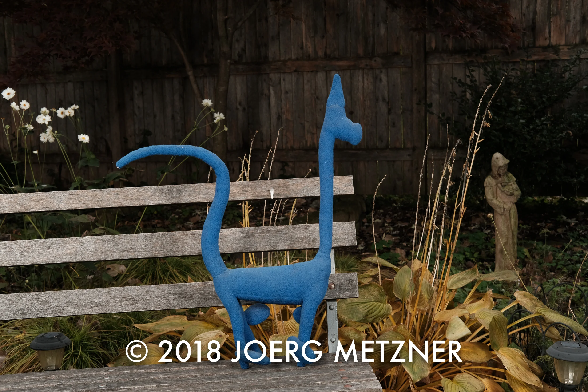 DSCF3670.jpg
