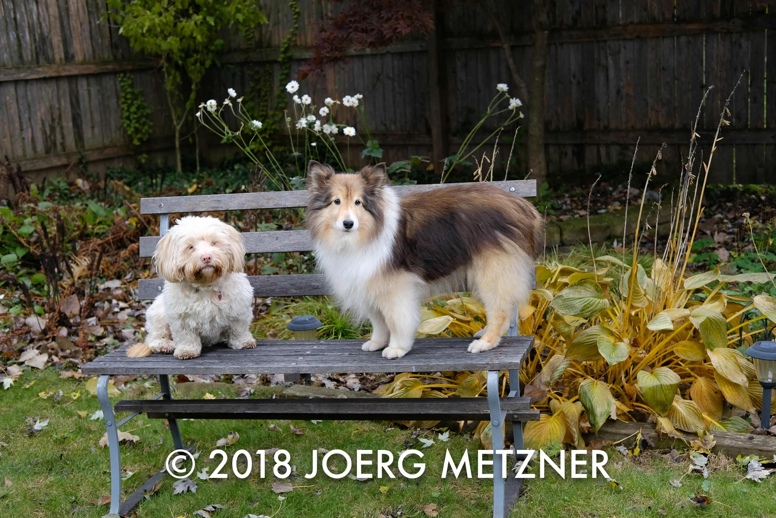 DSCF3720.jpg
