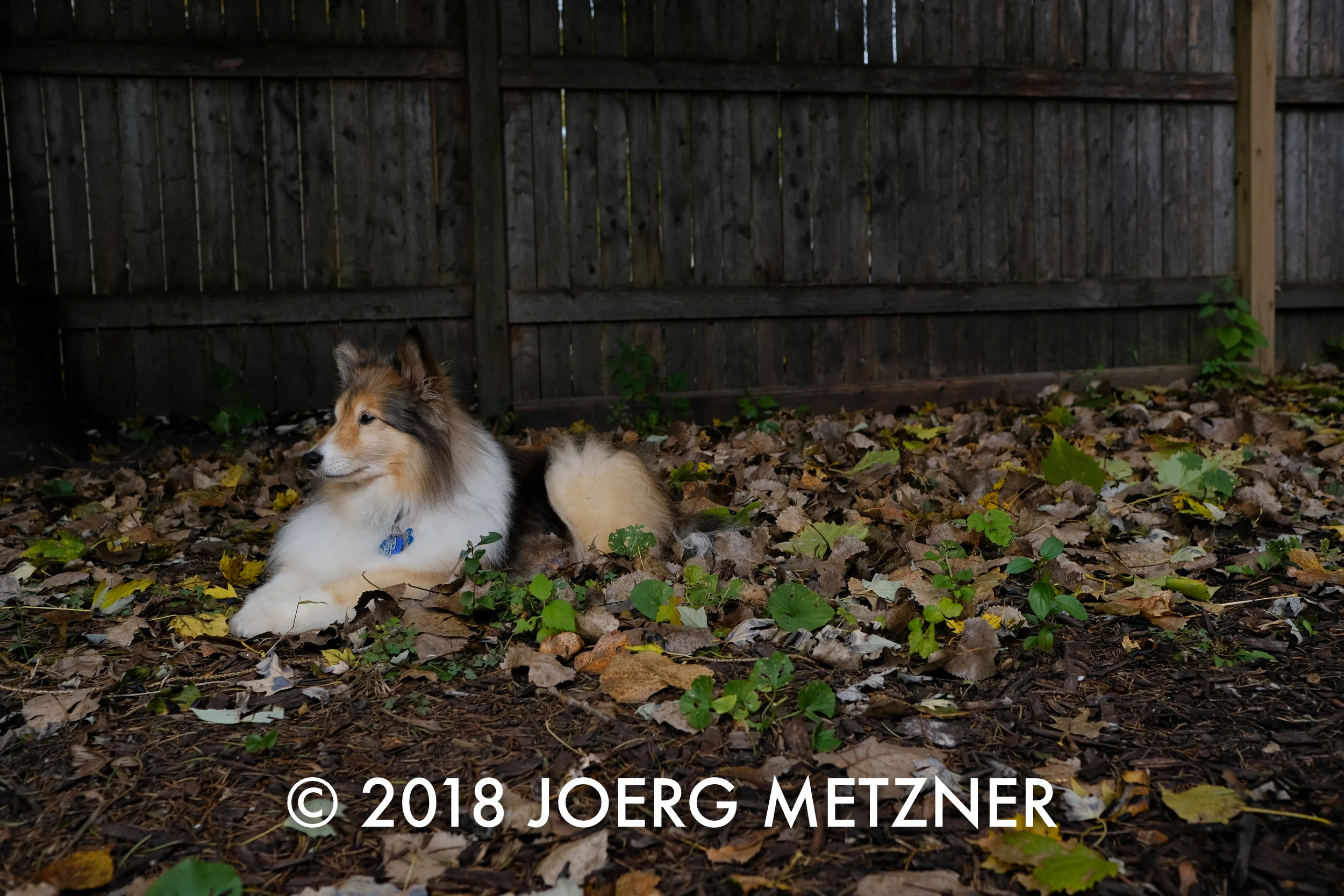 DSCF3780.jpg