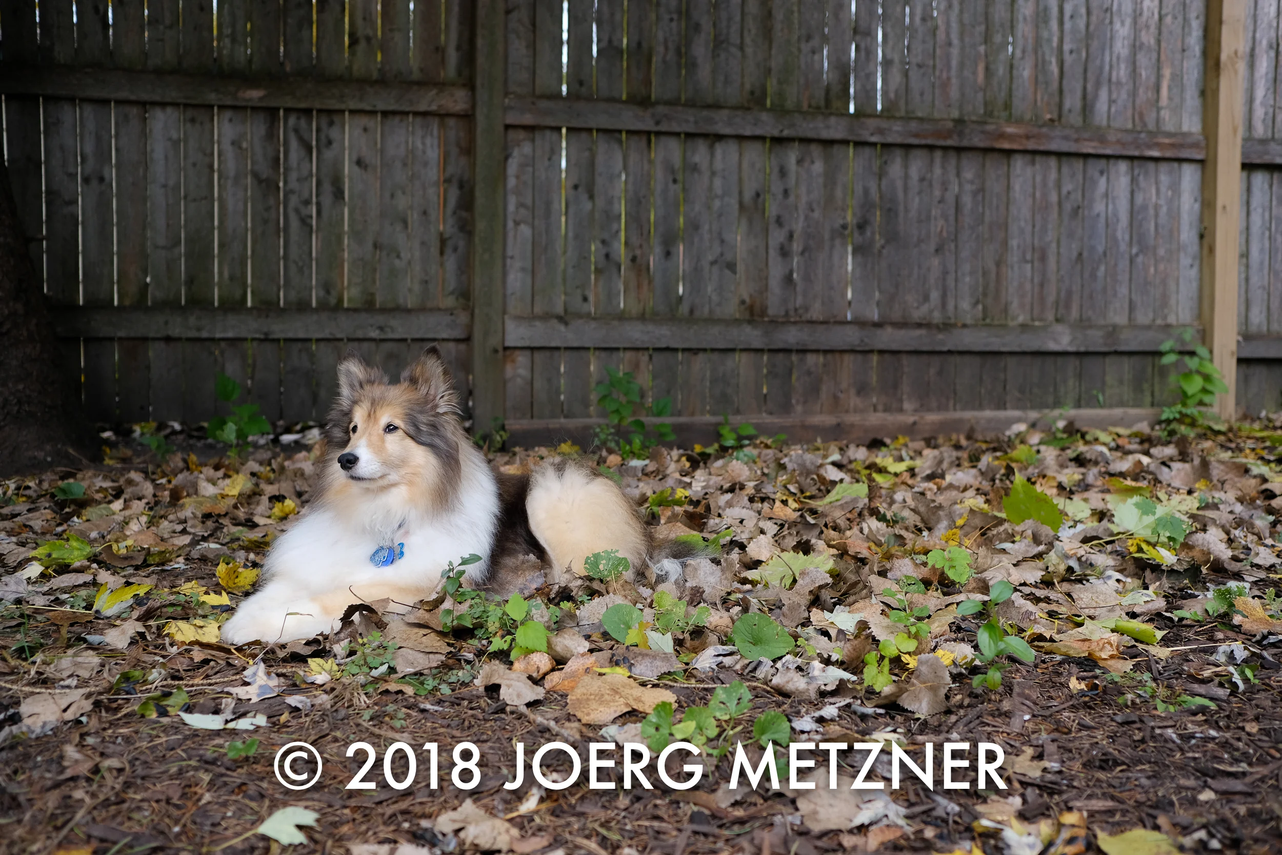 DSCF3784.jpg