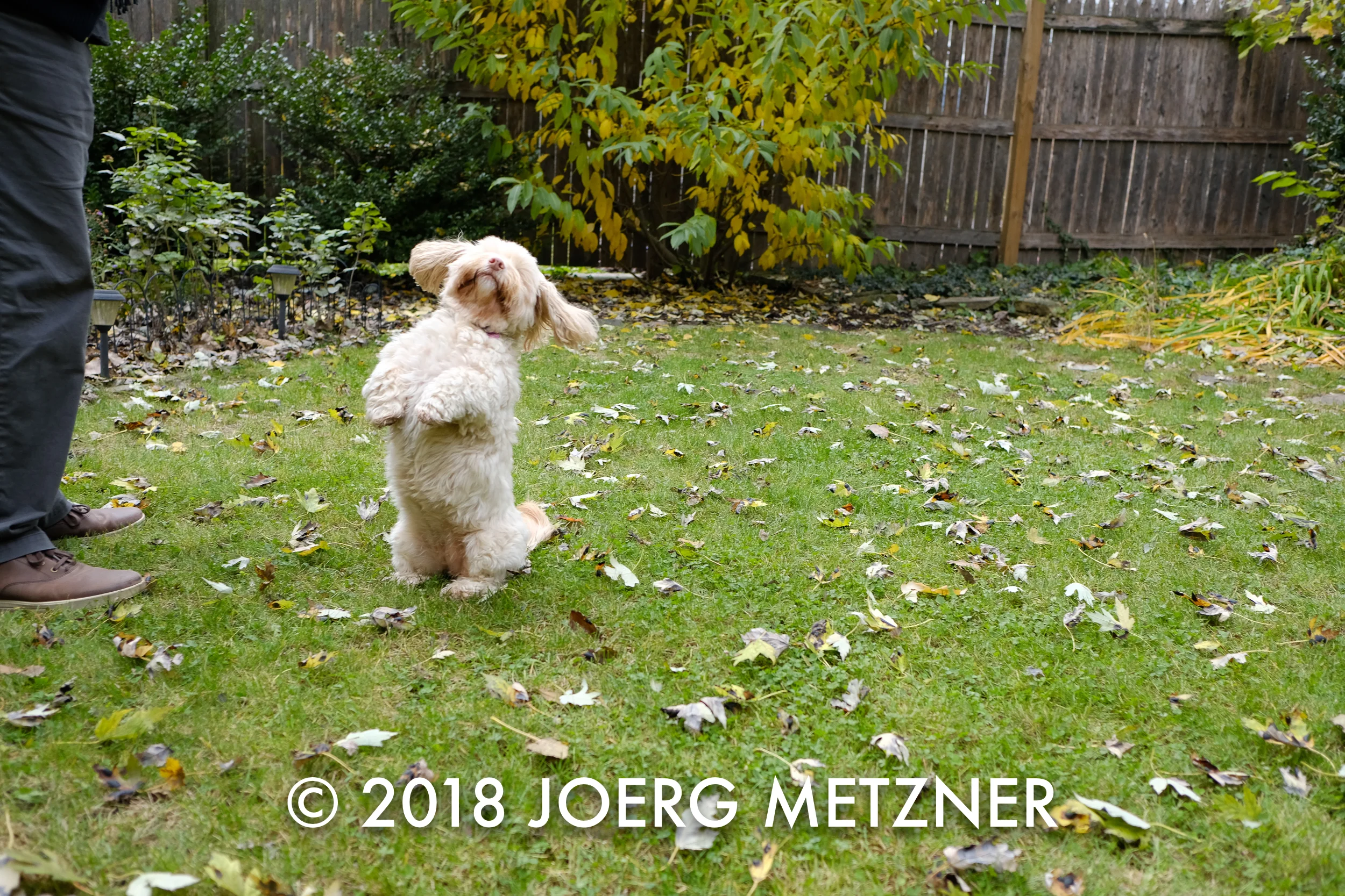 DSCF3799.jpg