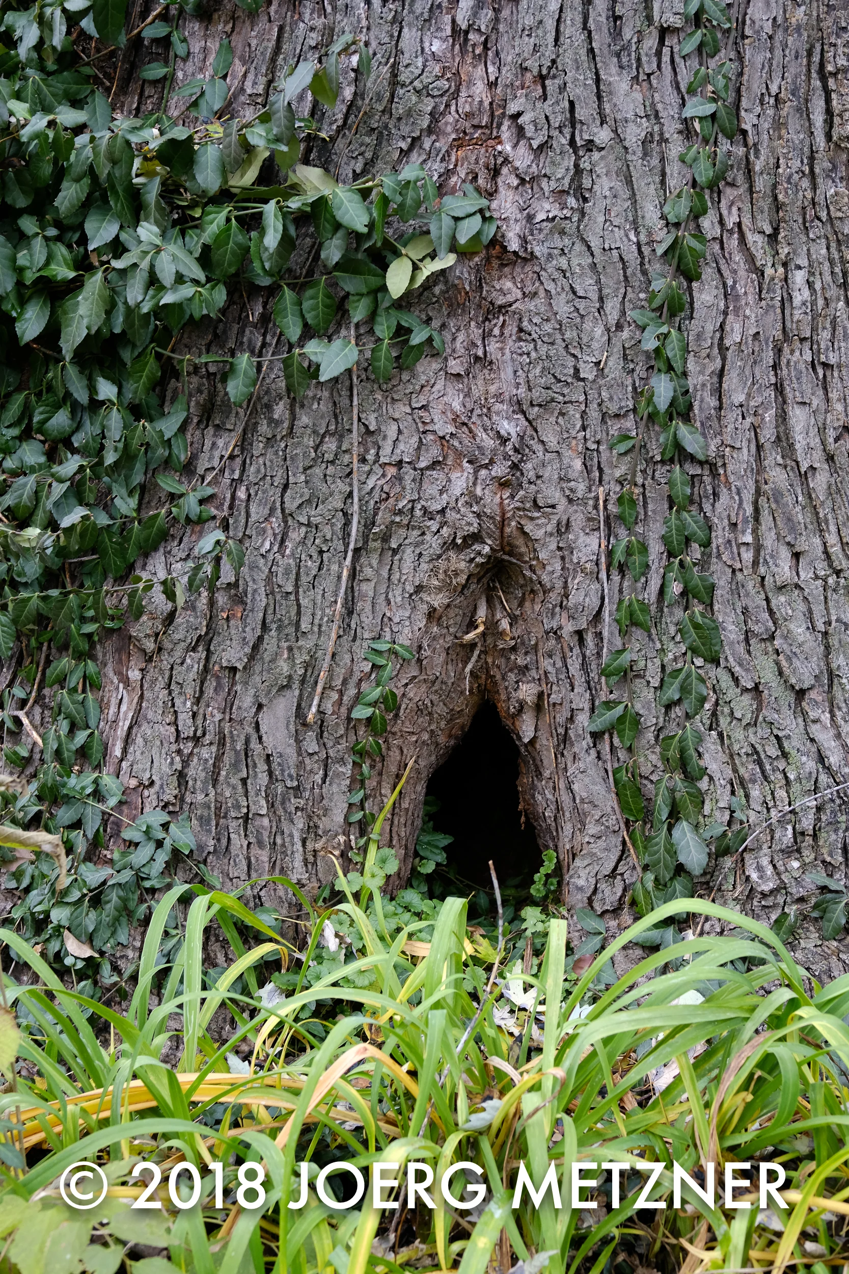DSCF3920.jpg