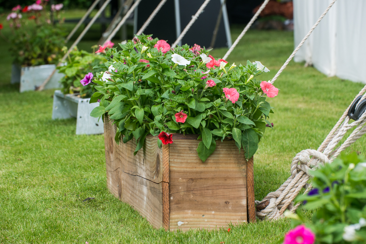 wedding garden 