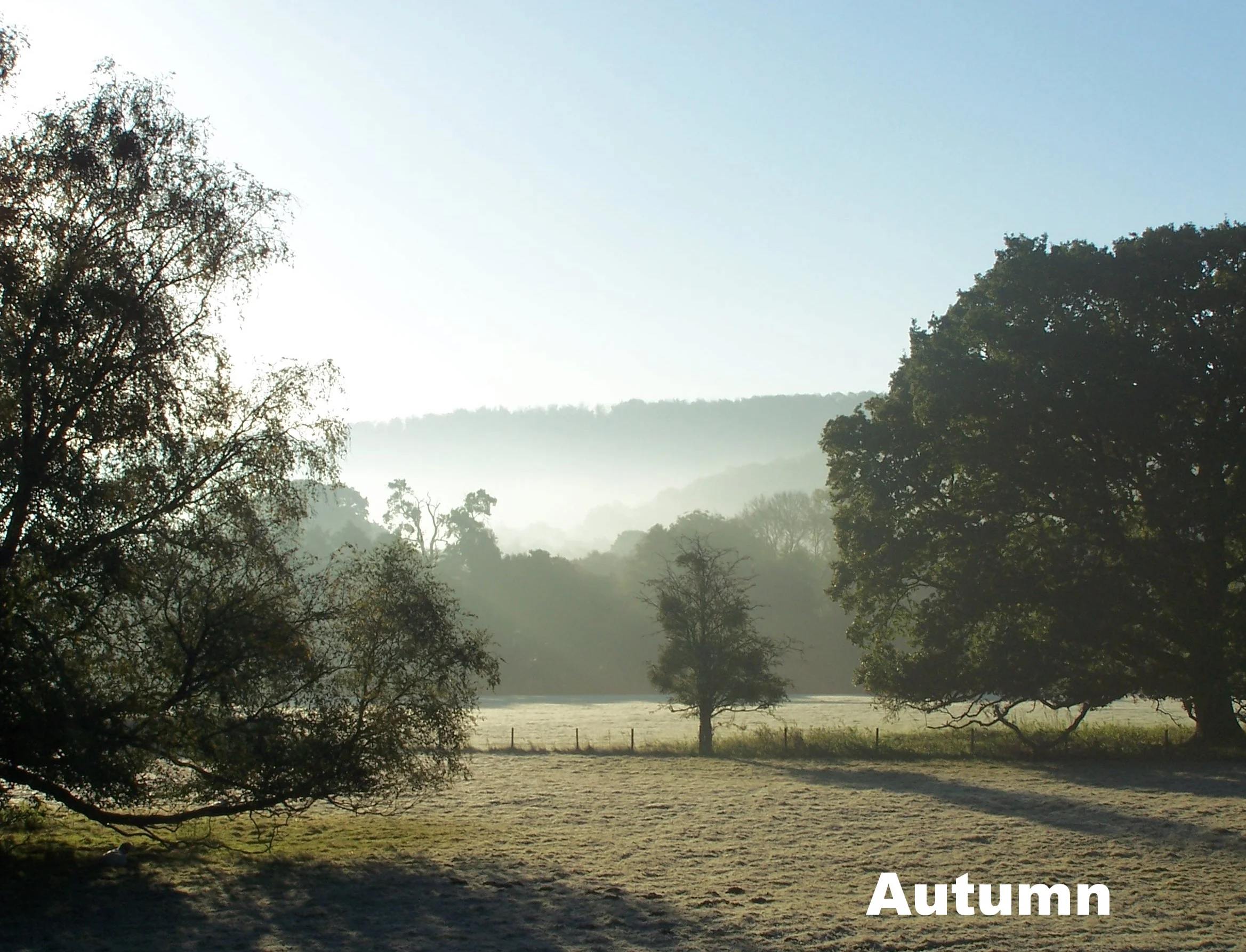 Mist over fields.jpg