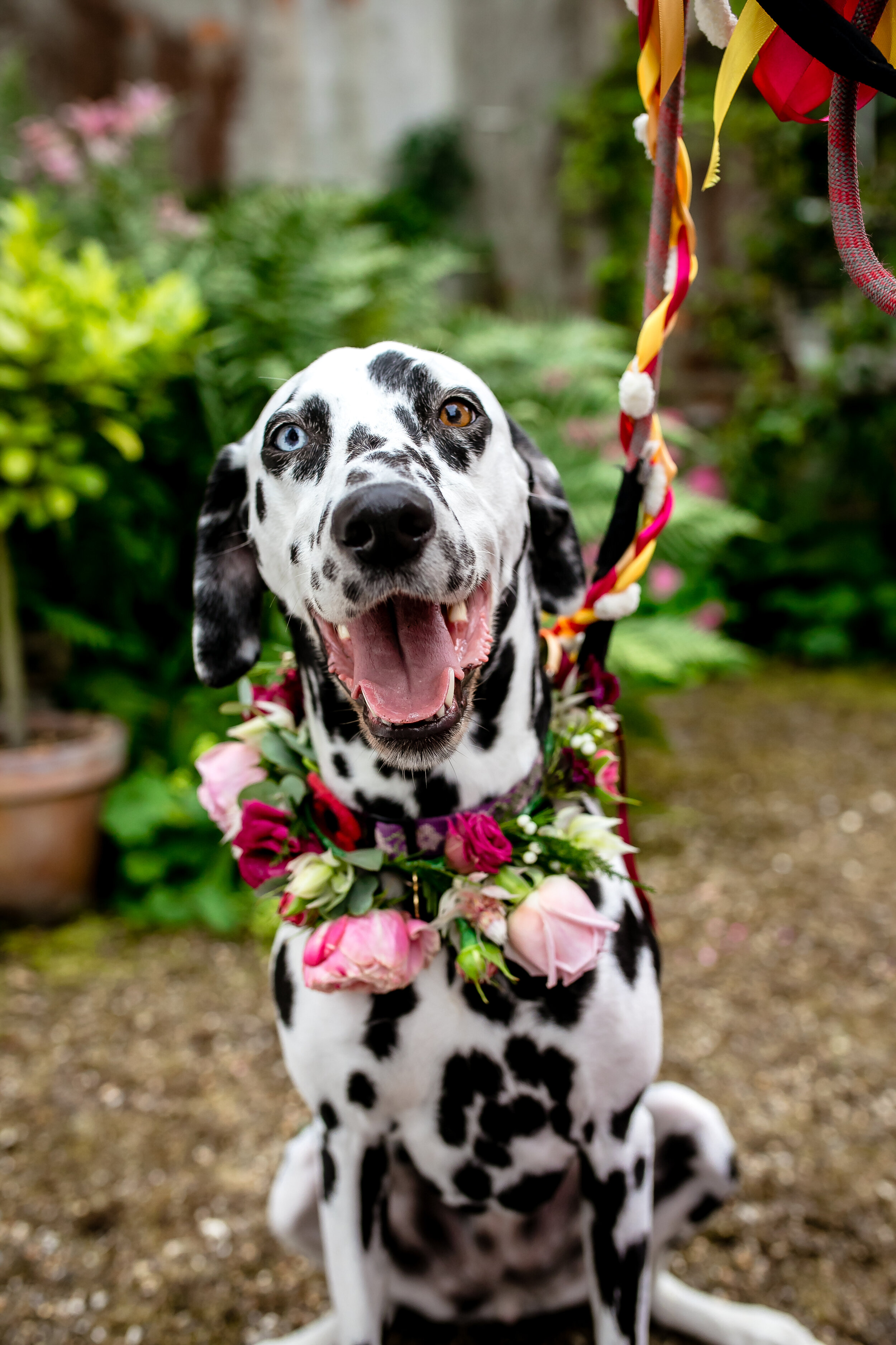 wedding photo