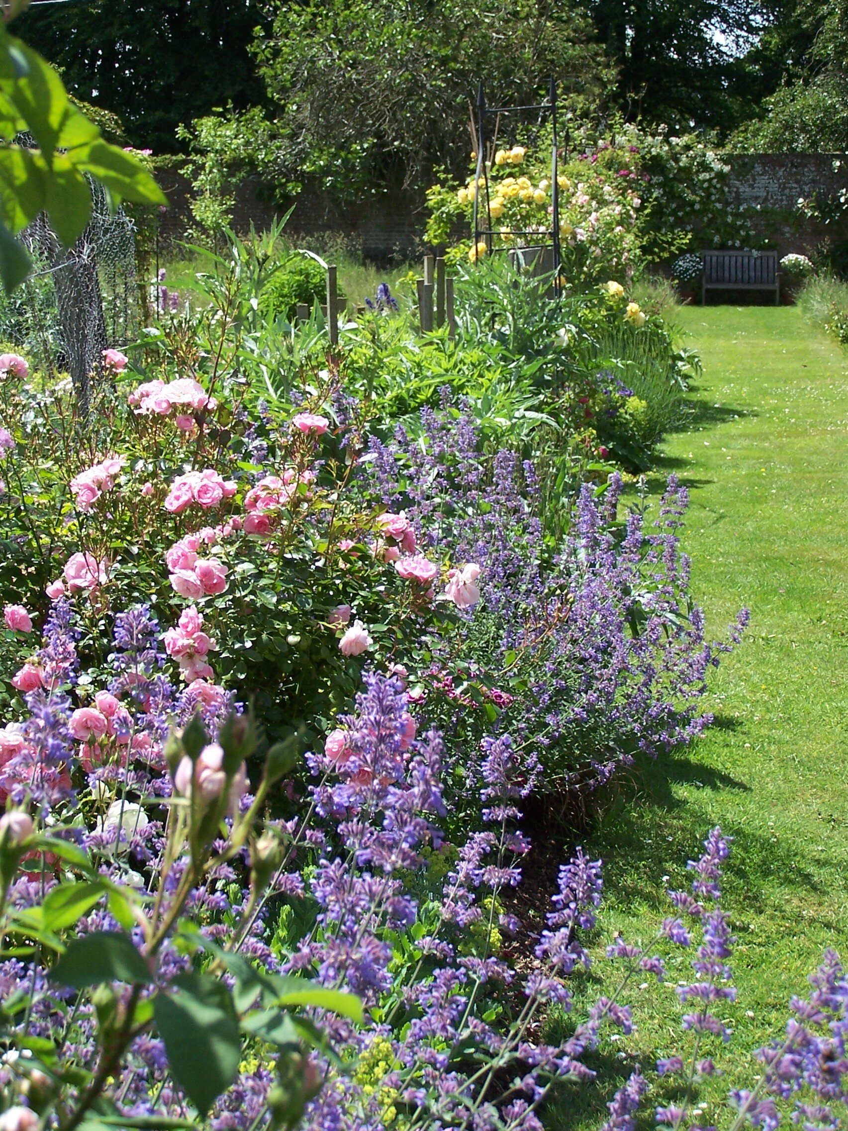 Shillingstone House - View of the Walled Garden