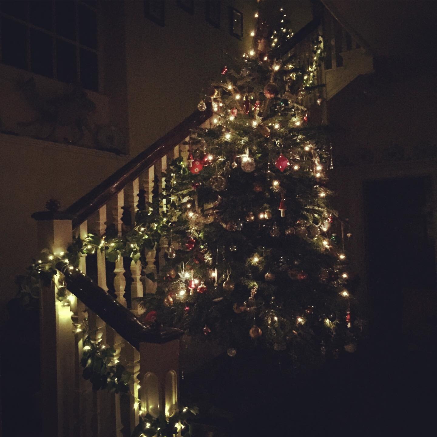 Christmas tree at Shillingstone lit up at night