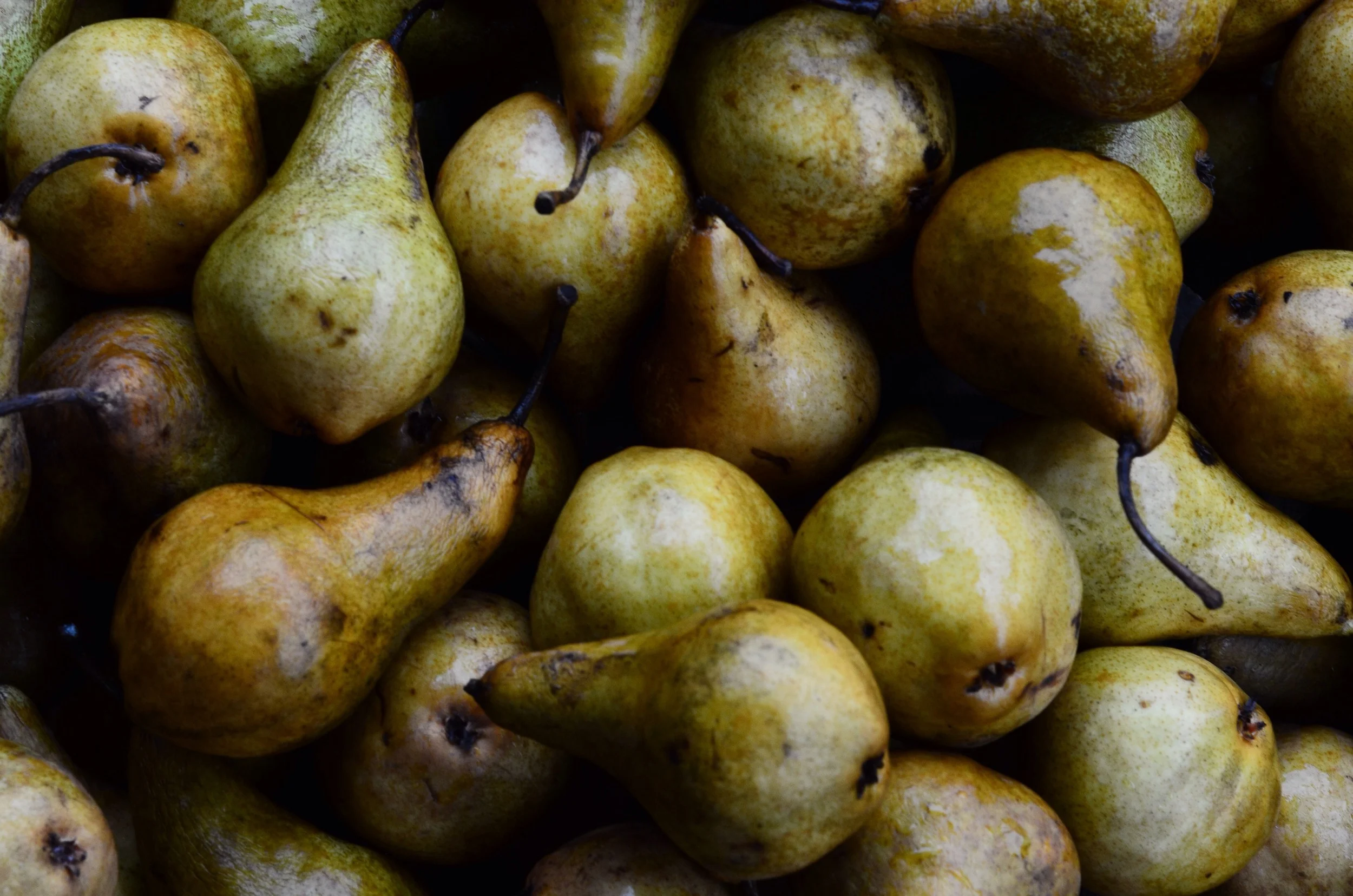 pears.JPG