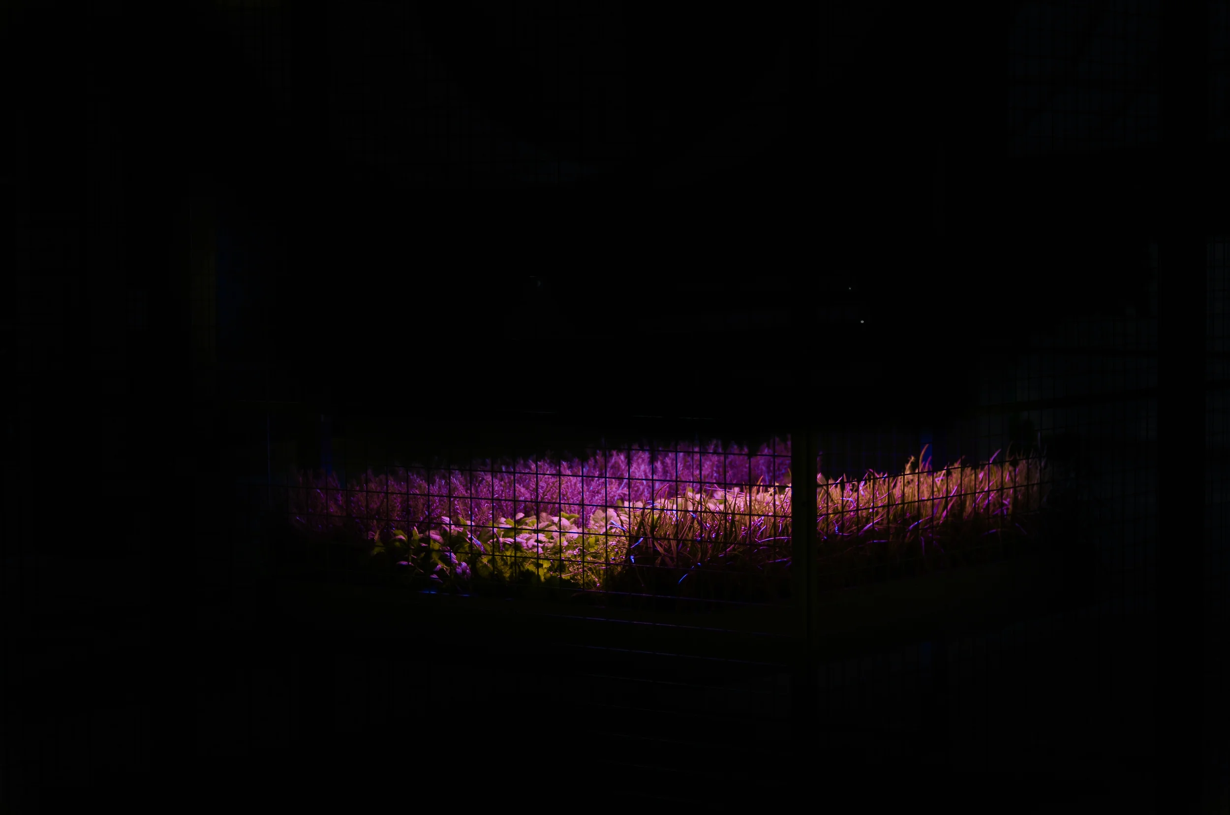 DSC_1452.jpg