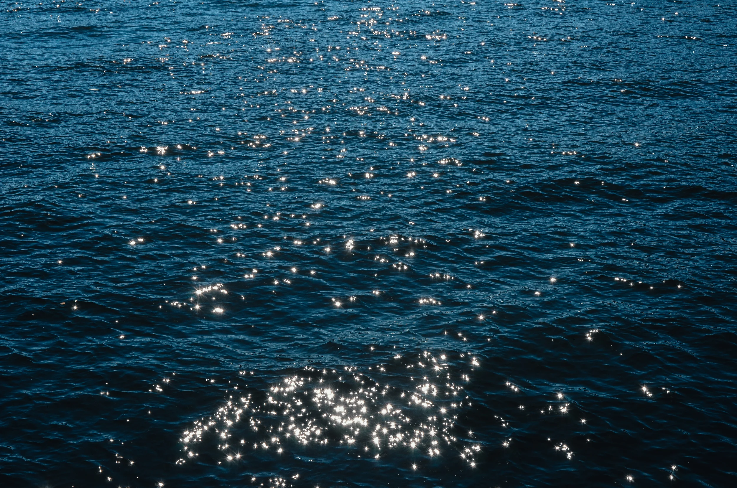 DSC_1389.jpg