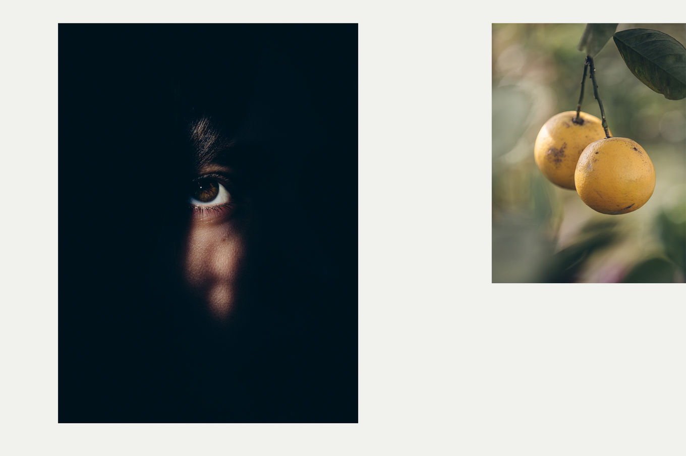 images by yours truly