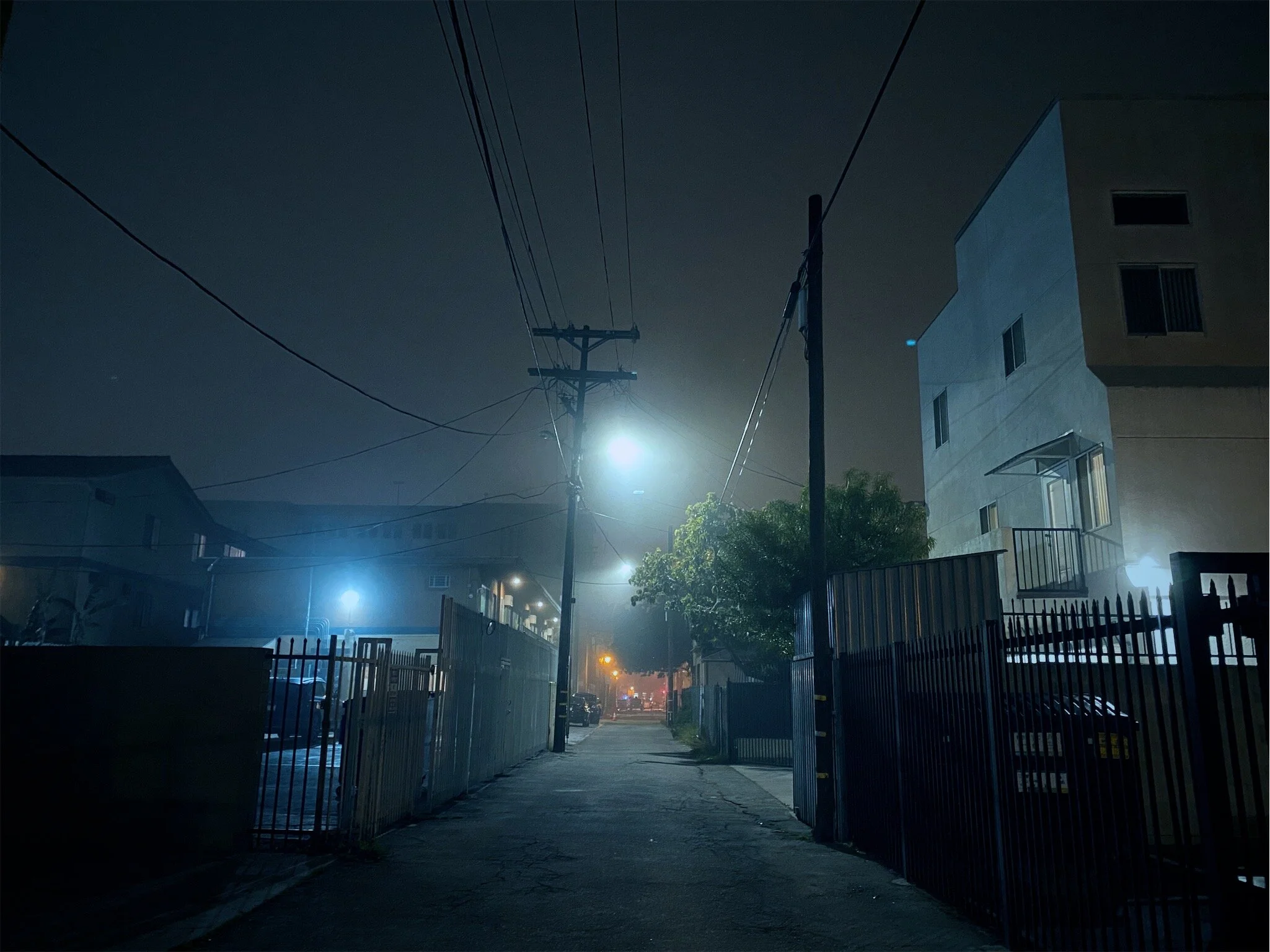 vsco5e2bf8570a29d.jpg