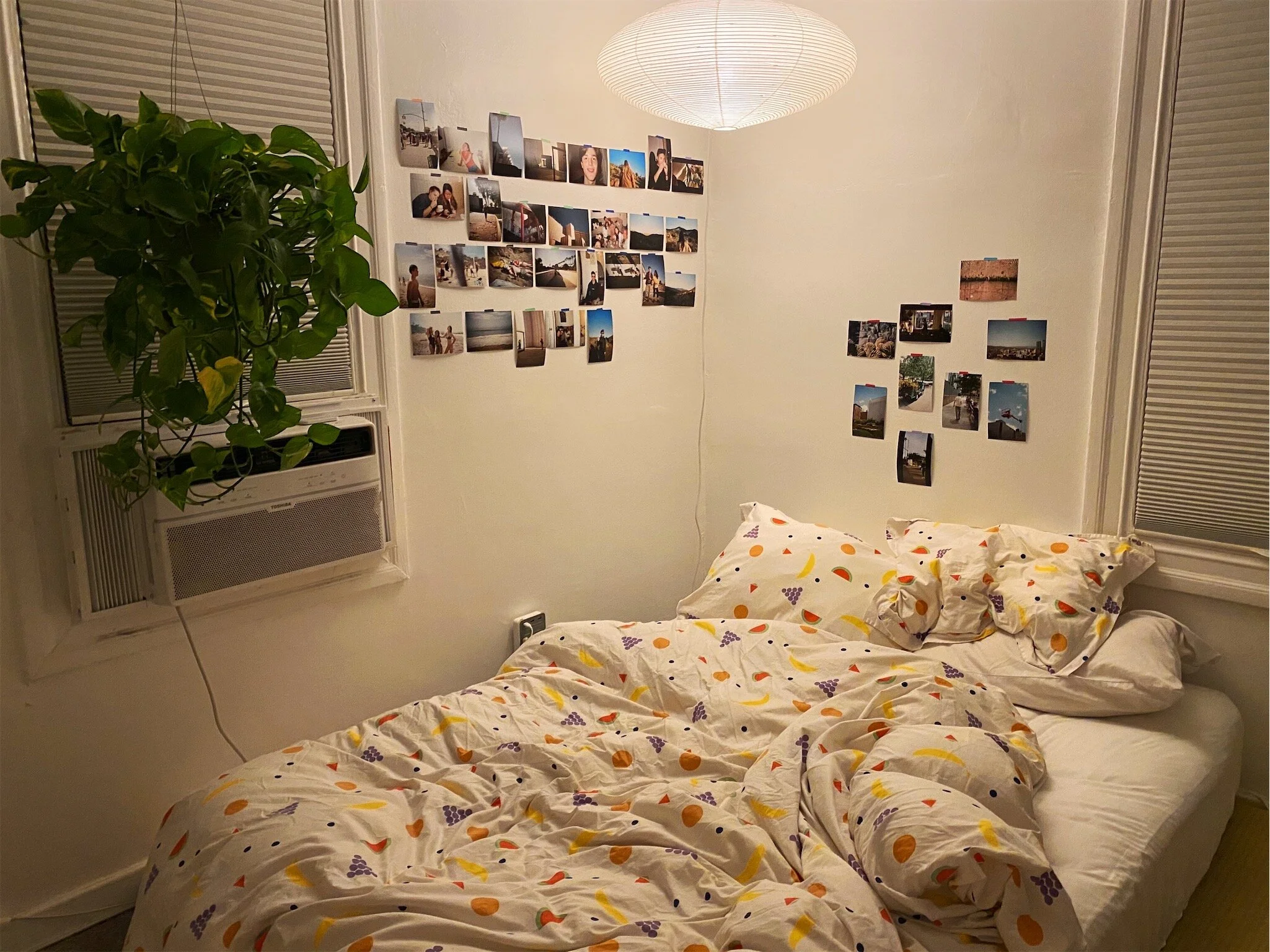 vsco5eaccad1b282b.jpg