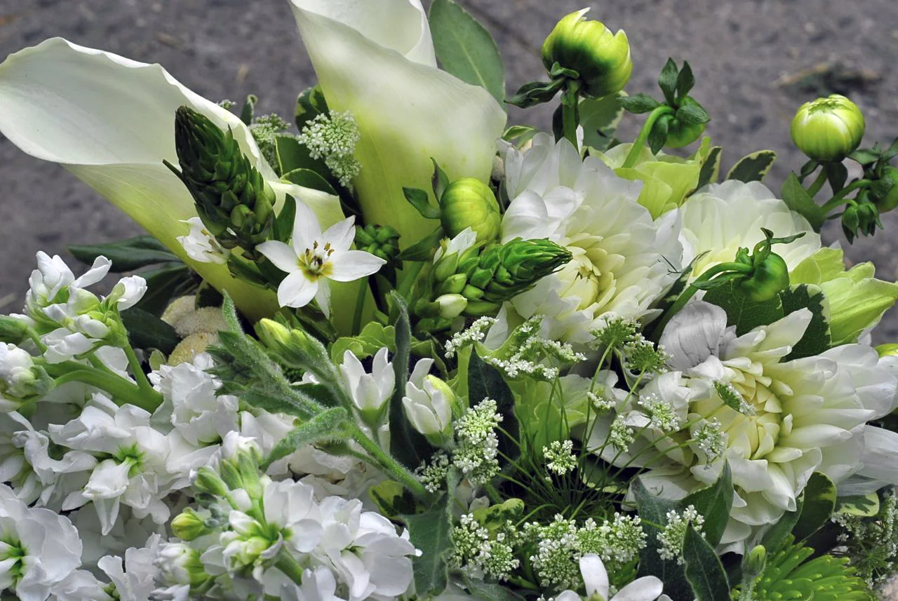 Brilliant Marketing from a...florist!?