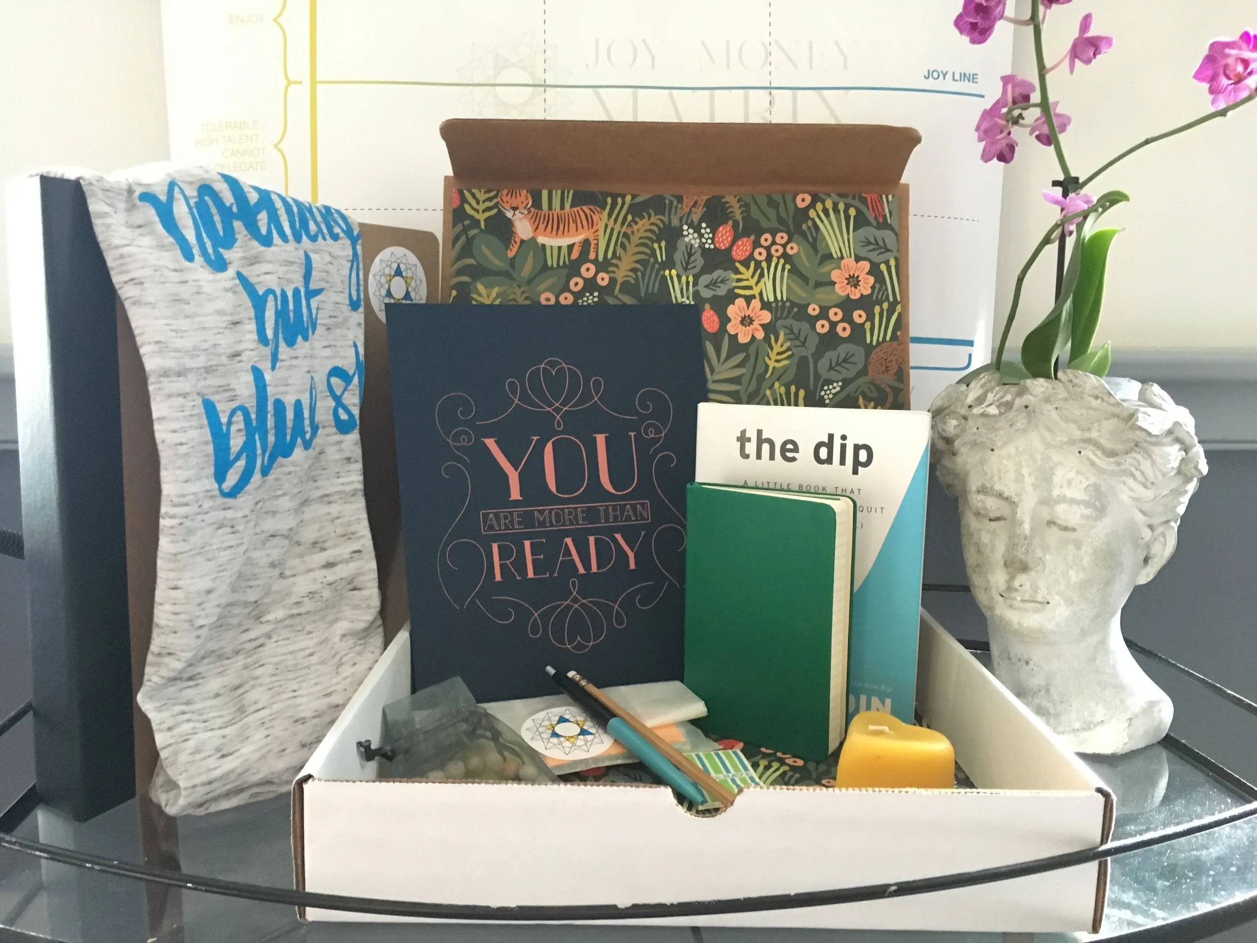 Virtual Joy|Money Matrix Retreat is on! 