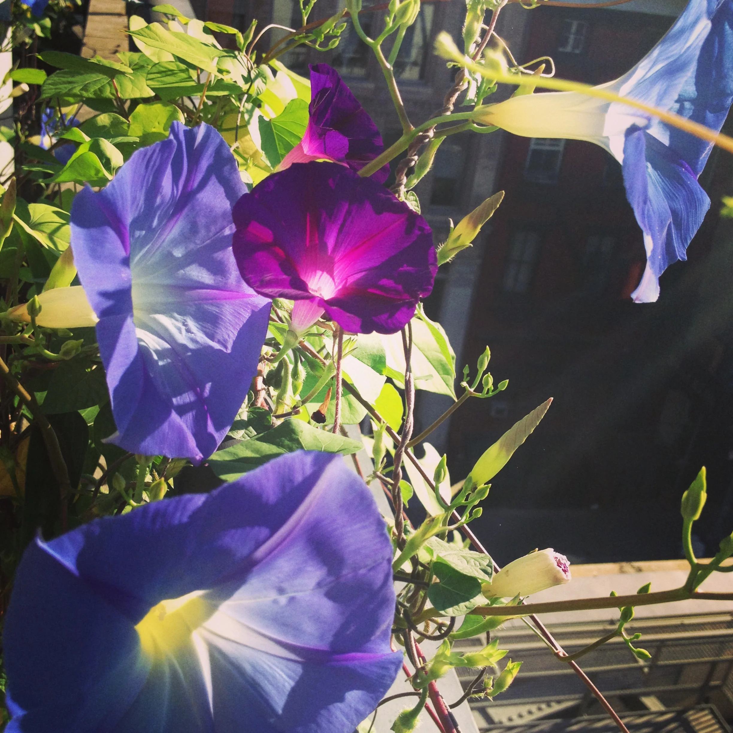 Mid-Year Review- I made this for you