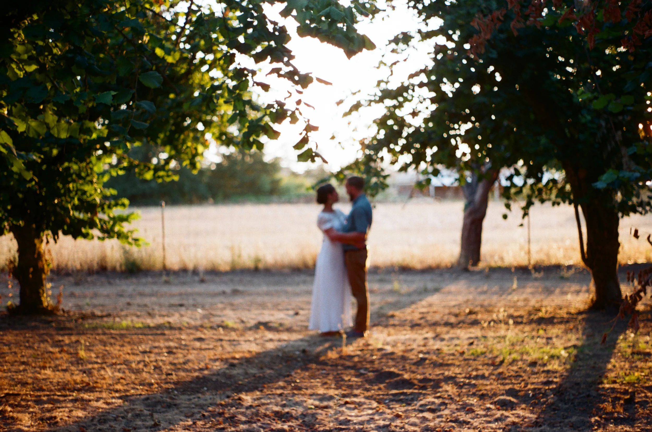 Wright_GoldenHour_003.jpg