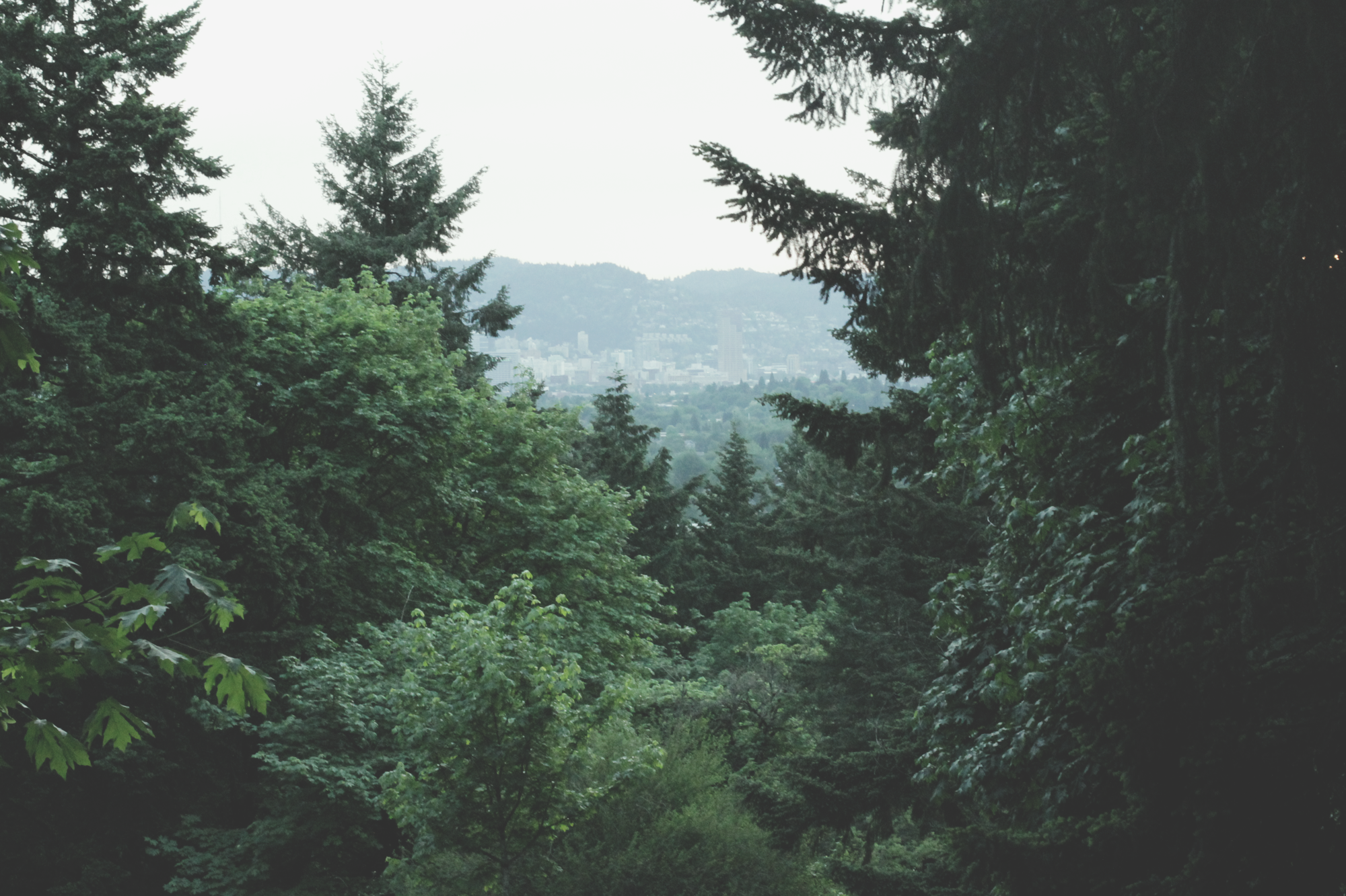 IMG_7732.png